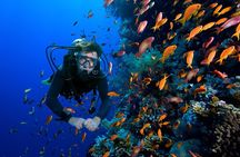 Snorkelling Adventure in Sharm El Luli Beach in Marsa Alam