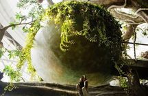 Dubai: Green Planet with Optional Transportation
