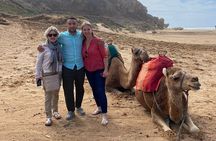 Private 5 Hour Tangier Tour with Lunch and Camel Ride