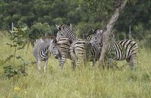 Private 8 Hour Day Trip to Shai Hills with Volta Lake Cruise