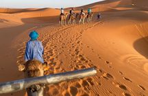 4 Days 3Nights from Errachidia to Marrakech 