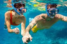 Samadai Reef - Dolphin House Snorkeling Tour at Marsa Alam