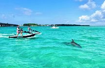 Guided Jet Ski Dolphin Tour - Destin, Florida