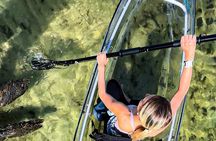 Clear Kayak Ecotour Destin Ft. Walton Beach