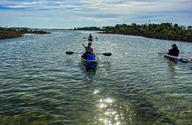 Clear Kayak Ecotour Destin Ft. Walton Beach