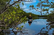 Clear Kayak Ecotour at Robinson Preserve in Bradenton, Florida 