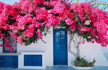 Mykonos Coastal Delights: A Cruise Passenger's Dream Day