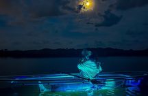 Clear Kayak Glow Tour Destin Ft. Walton Beach