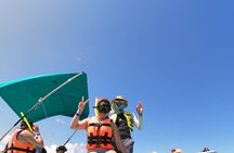 Experience Guided Snorkeling in Costa Maya