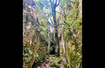 Enchanted Forest Hike and Wine Tasting Private Tour