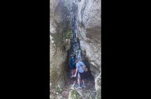 Enchanted Forest Hike and Wine Tasting Private Tour