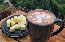Private Half-Day Food Tour Visiting Best Viewpoints in Medellín!