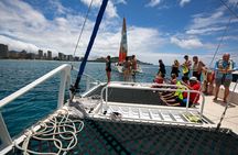 Hilton Hawaiian Village Turtle Snorkel with Optional Lunch