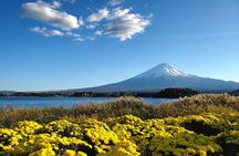 Guided Mount Fuji Private Tour GREEN NUMBER PLATES