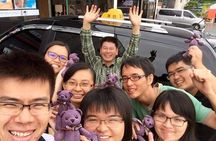 3 Days Private jumbo taxi Tour in Jeju Island with Mr.Ko (Suhong)