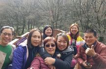 3 Days Private jumbo taxi Tour in Jeju Island with Mr.Ko (Suhong)