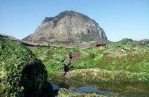 West of jeju private Jumbo taxi tour with Mr.KO (Suhong)