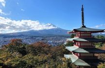 Guided Mount Fuji Private Tour GREEN NUMBER PLATES