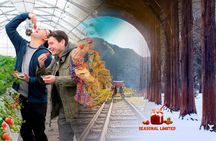 Nami Island, Strawberry Picking & Railbike