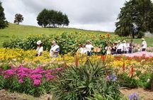 Private Tour Heart Fair Flowers + Adventure Park + Flower Farm