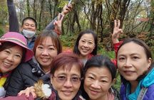 2 Days Jeju Private Jumbo Taxi Tour with Mr.Ko (Suhong)