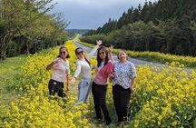 West of jeju private Jumbo taxi tour with Mr.KO (Suhong)