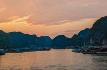 Lan Ha Bay Day Tour From Ha Noi - Daiichi Cruise (VIP1)