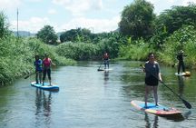 No.1 Chiang Mai: Stand Up Paddle Board through Mae Taeng Forest