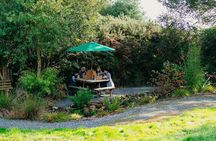 Guided Scenic Alpaca Trekking Experience Northern Ireland