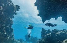 Cozumel underwater 2 Tank Dive by boat