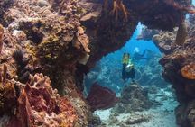 Cozumel underwater 2 Tank Dive by boat