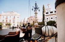 Seville City Exclusive Guided Tour