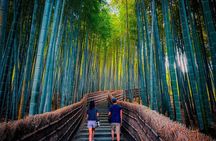 Deep Kyoto Tour in Private Van - guided by Local Expert