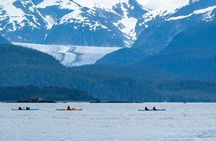 Juneau Shore Excursion: Paddle with Whales Kayak Adventure