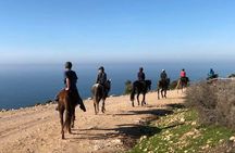  Agadir/Taghazout Horse Ride on the beach