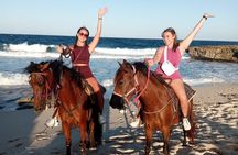 Aruba Beach Ecological Horseback Ride