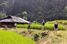 Best Hanoi - Ba Be Lake 3 Days 2 Nights Tour