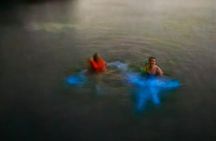 Bioluminescence Tour