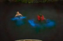 The ULTIMATE Bioluminescence night time adventure with Brandon 