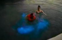 The ULTIMATE Bioluminescence night time adventure with Brandon 