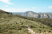 Private Blue Mountains Tour | Waterfalls, Koalas & Views