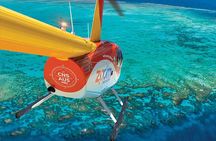 Reef Rainforest Fusion - 45 Minute Reef and Rainforest Flight