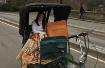 Private Hop on Hop off Central Park Pedicab Tour