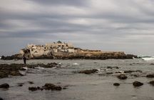 Casablanca Day Tour from Marrakech