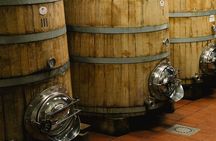 Scoprire la Vera Tintilia del Molise, Autentico ed Eccellenso
