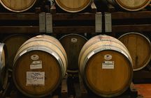 Scoprire la Vera Tintilia del Molise, Autentico ed Eccellenso