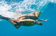 5H Red Sea Private Scuba Diving Adventure in Sharm El Sheikh