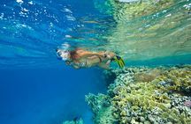 5H Red Sea Private Scuba Diving Adventure in Sharm El Sheikh
