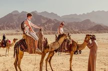 Stargazing With Dinner And Bedouin Ambiance Led By Skilled Guide