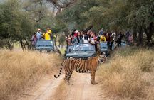 7 Days Golden Triangle Tour with Ranthambore Safari